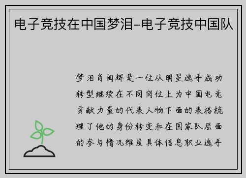 电子竞技在中国梦泪-电子竞技中国队